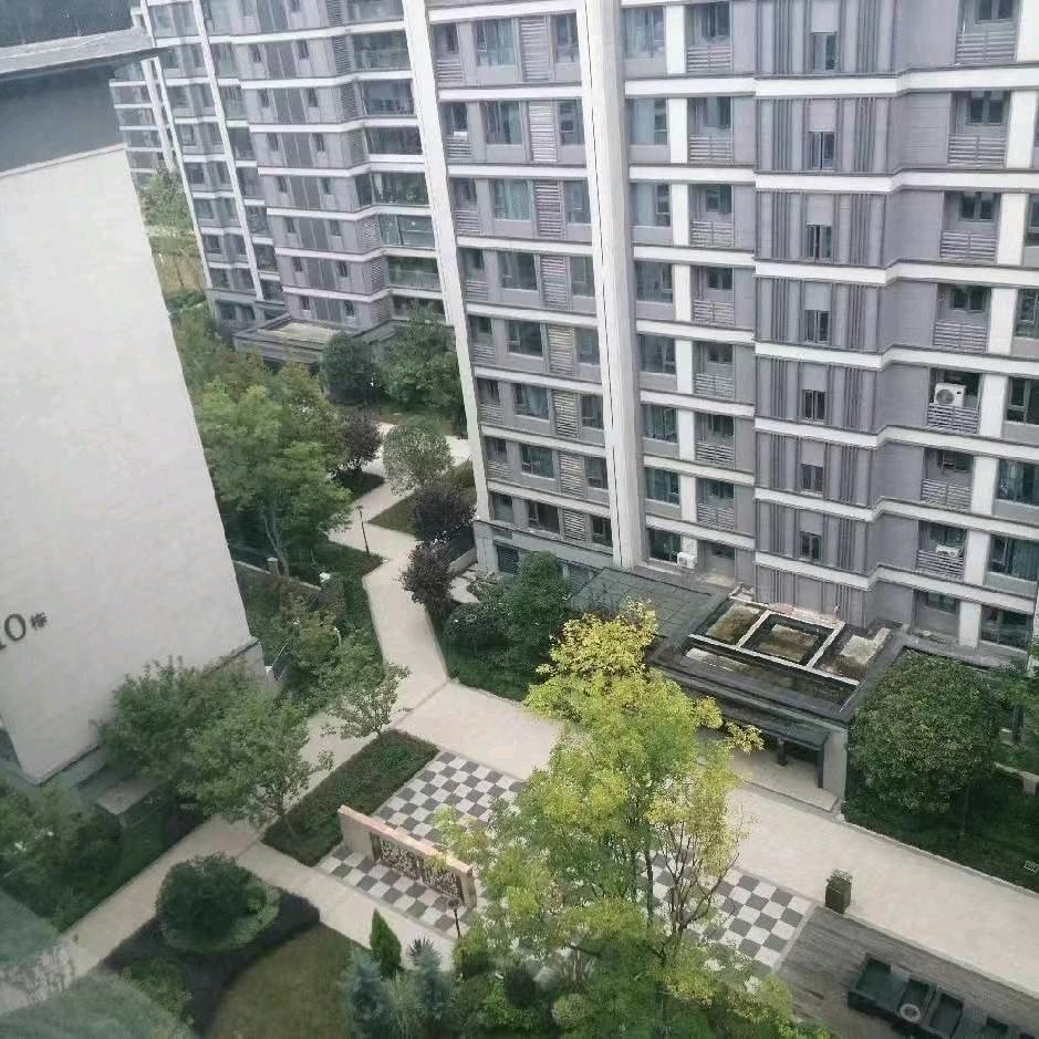 光头哥