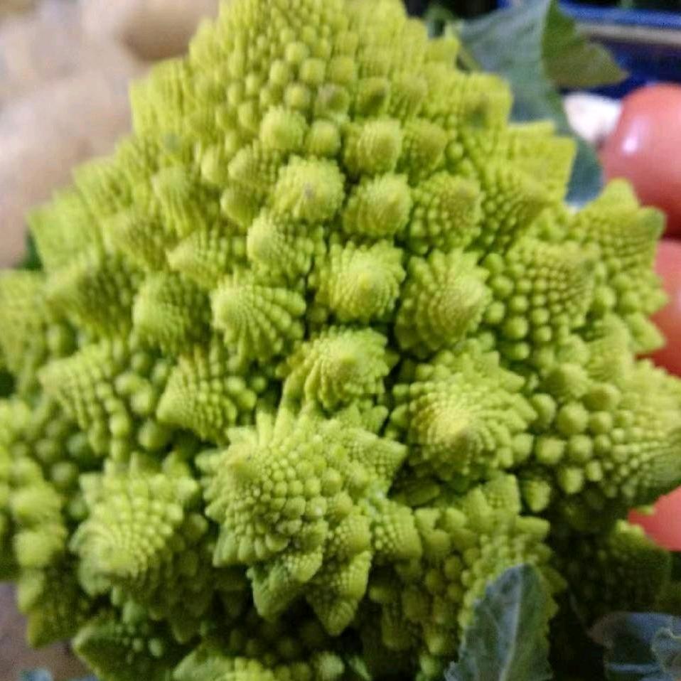 再见只是陌生人