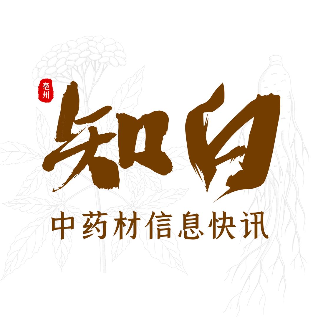 知白