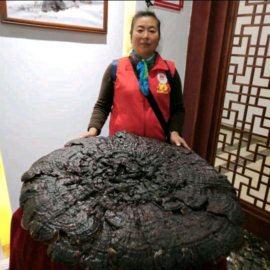开心的一天来到