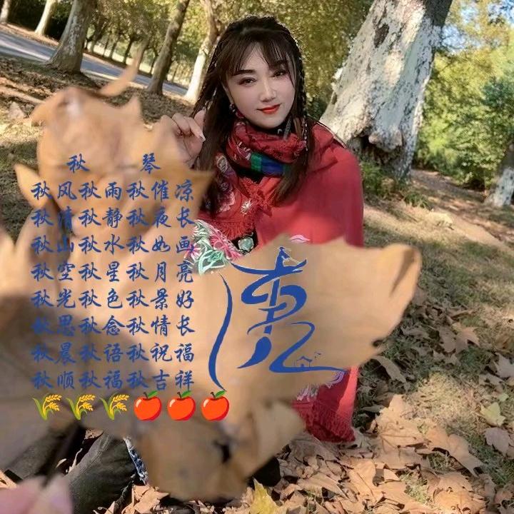 🇨🇳凤城-唐糖