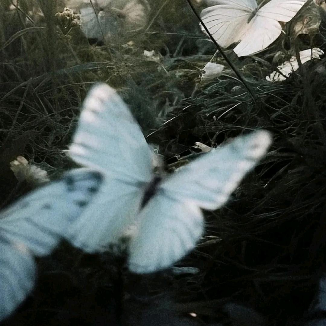 Aaaa巧克力🍫大王