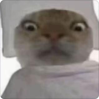 ㅤㅤㅤㅤㅤ