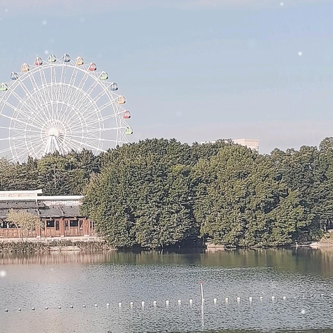 大榕树
