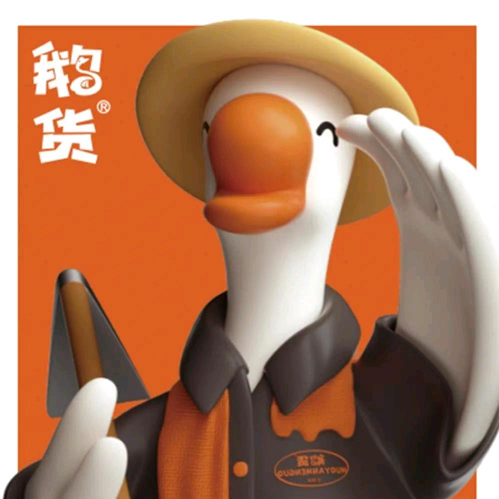 鹅货.火焰焖鹅阆中店