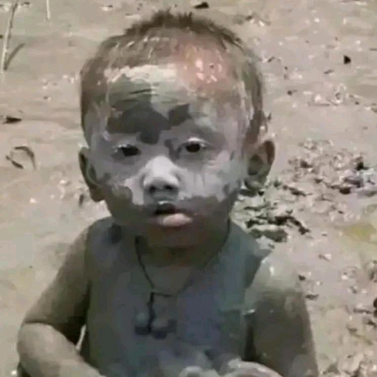 纯阳