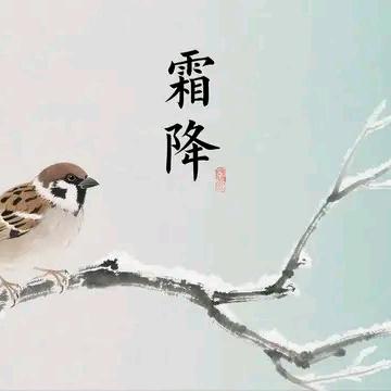 双沟厂家工厂店