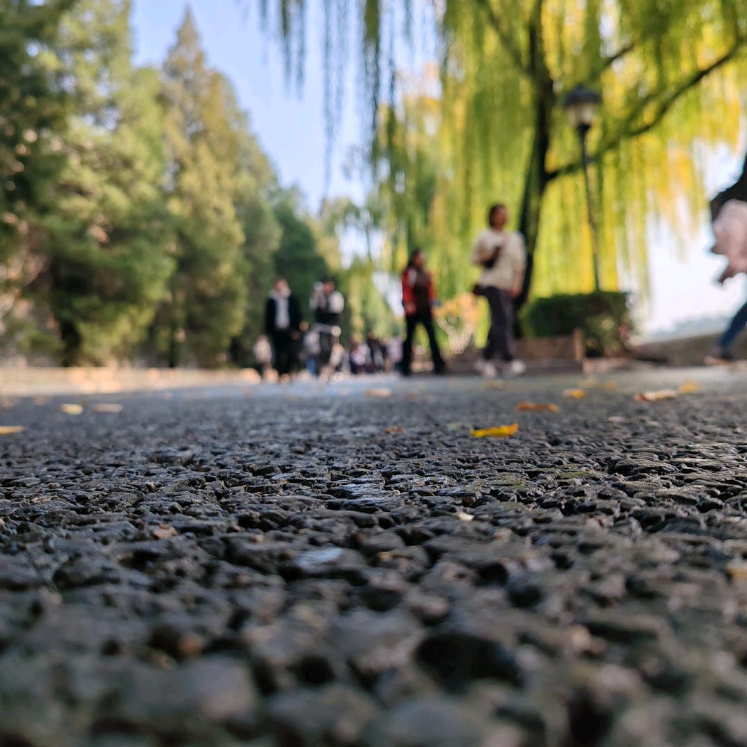 文旅灬AM