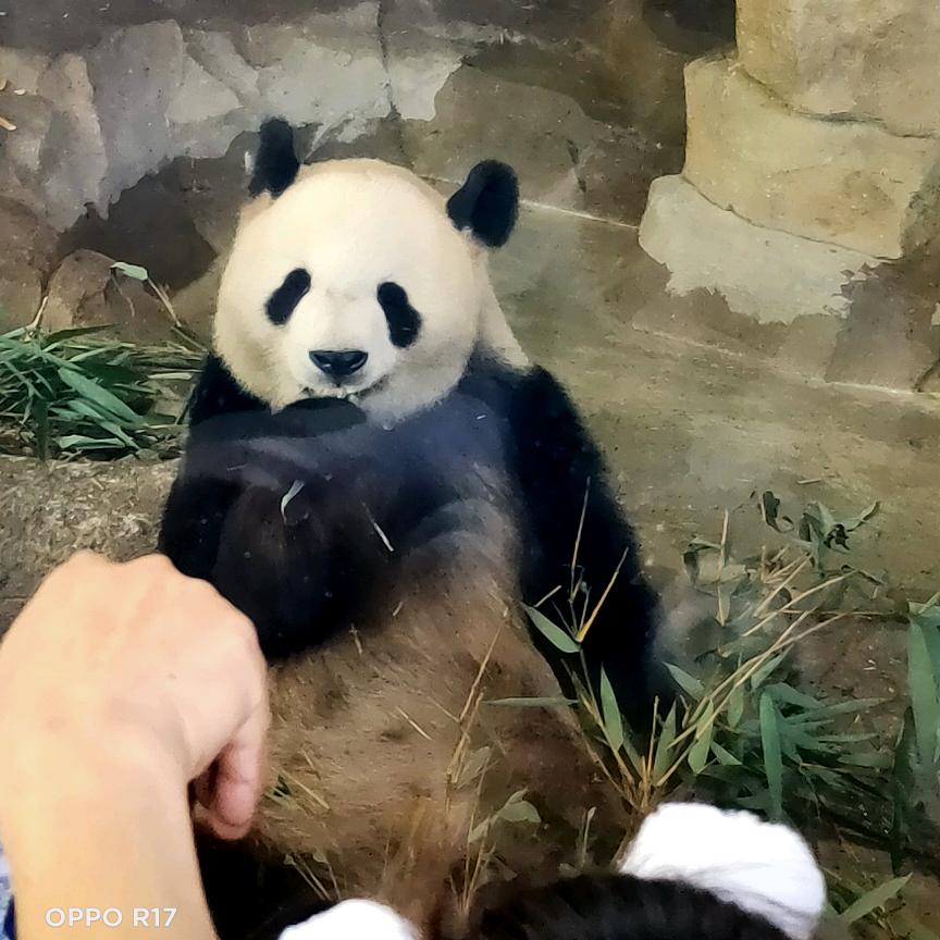艳姐1