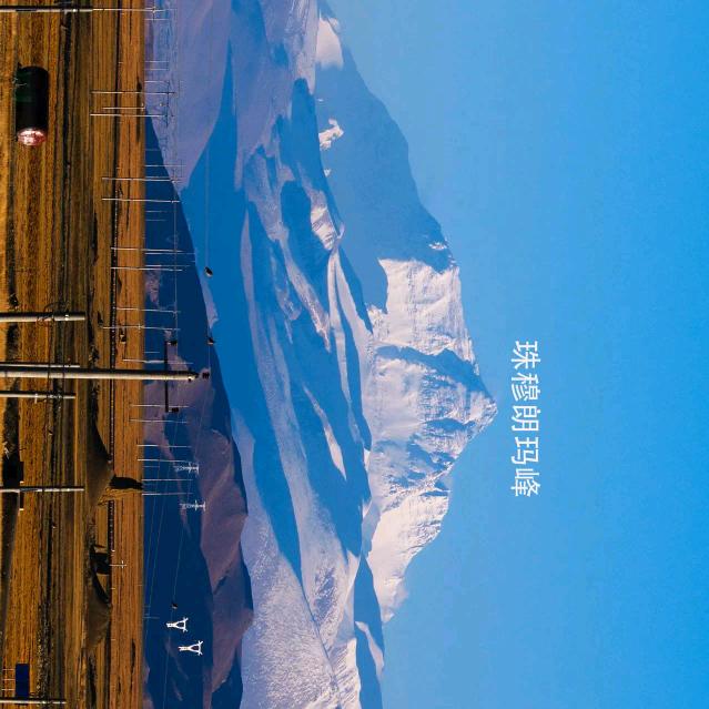 博苑名酒专营店授权号