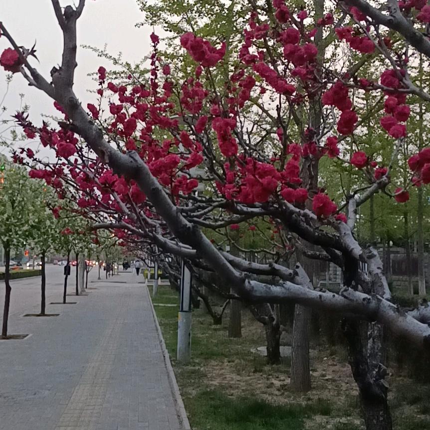 用户明天会更好