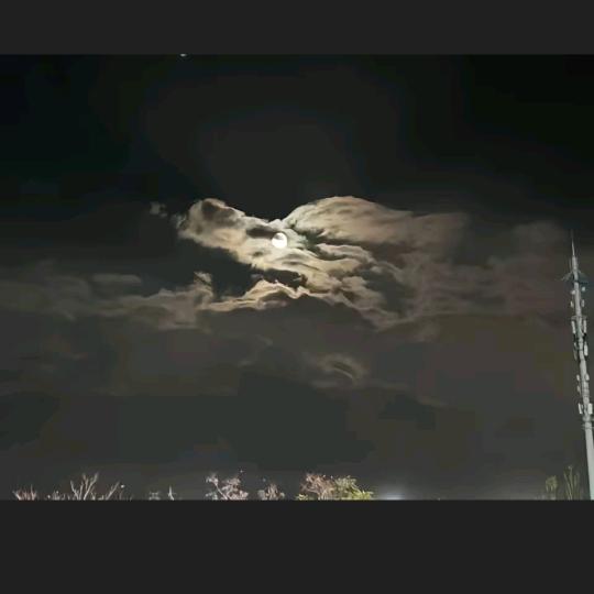 清风归客