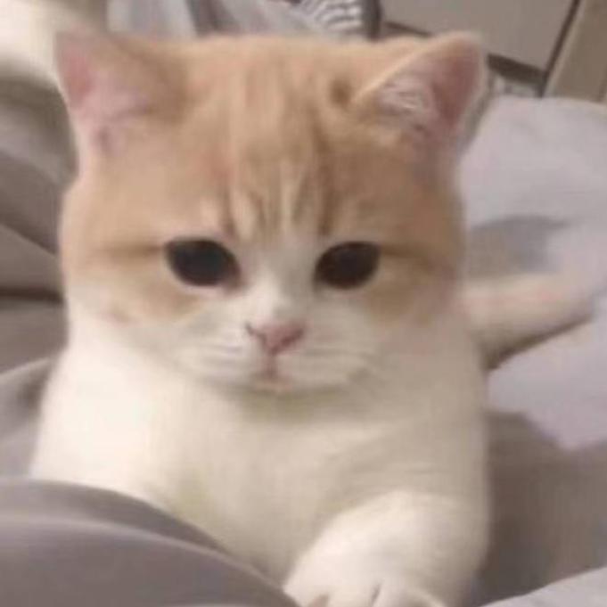 姬如千泷