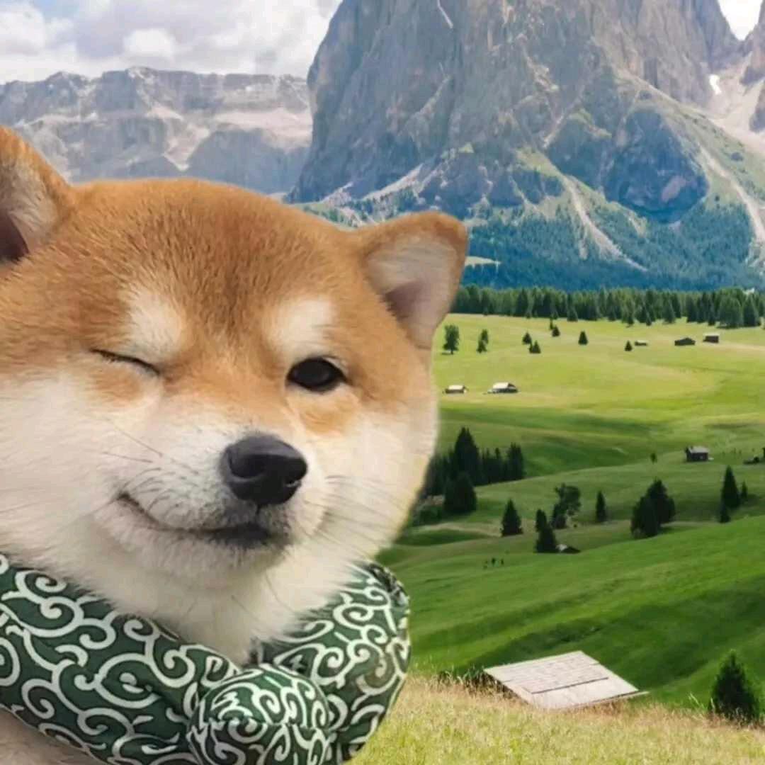 小熊