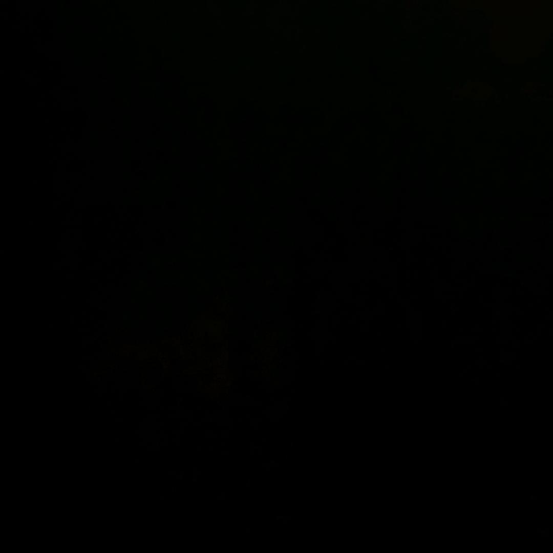 ....ㅤ
