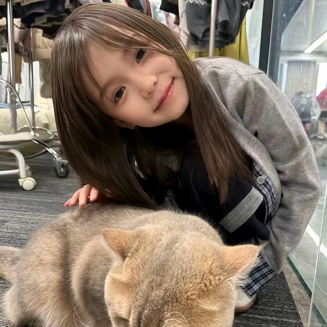 猫毛🥧