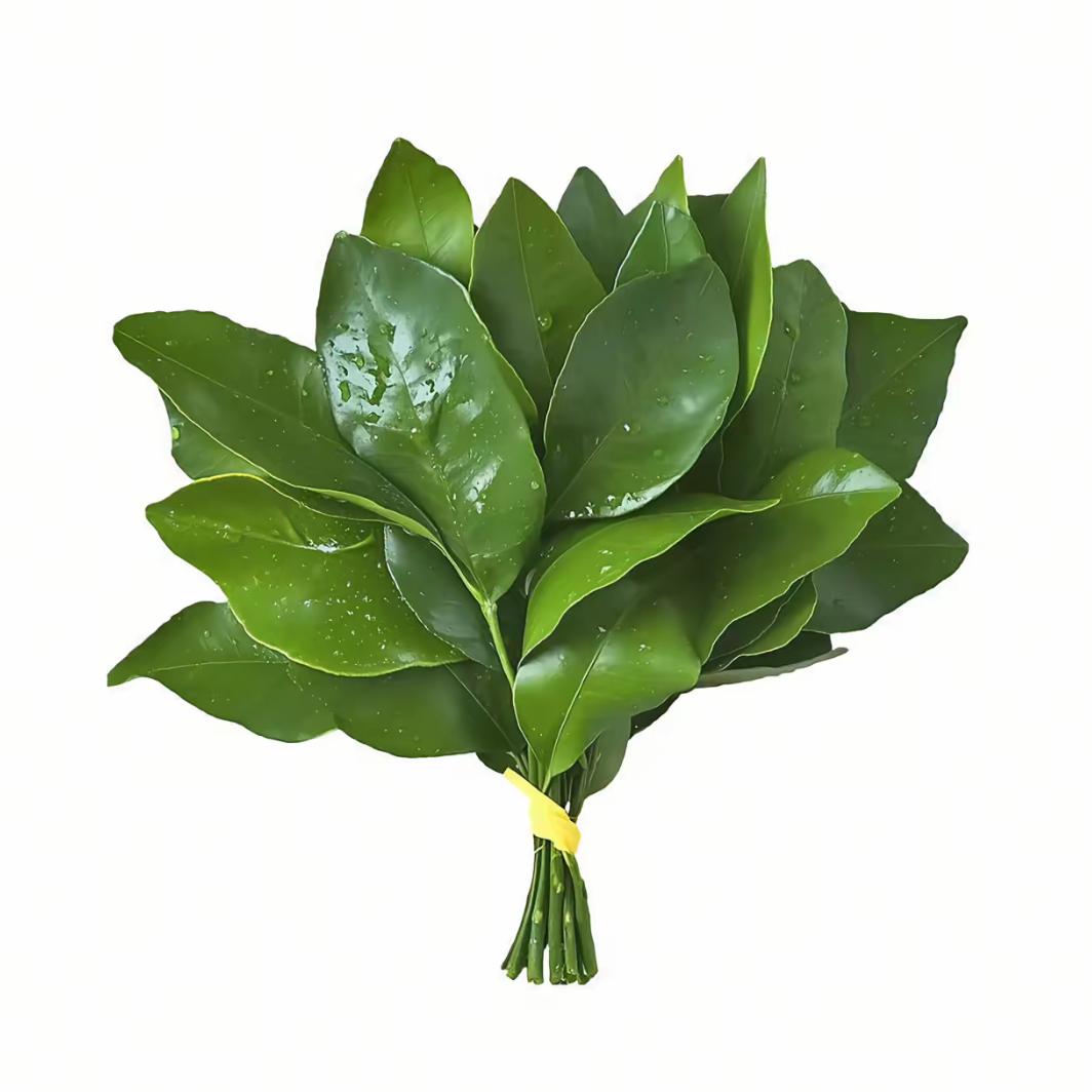 盆友圈