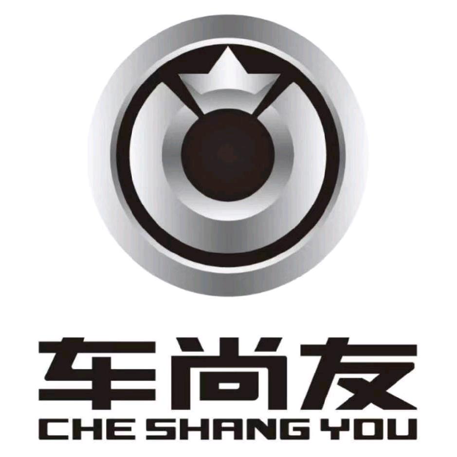 车尚友车改