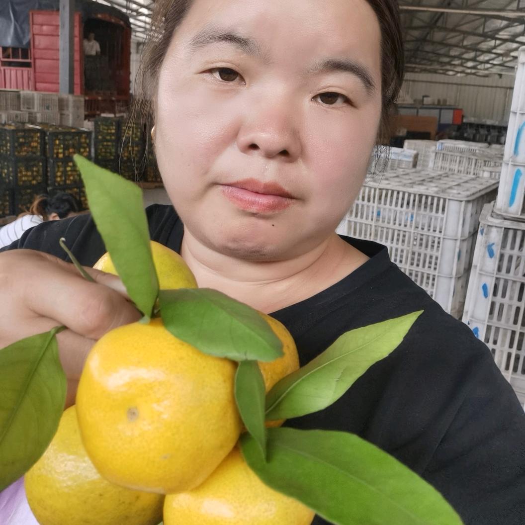 柑橘代办，张上明珠