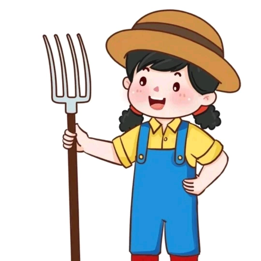 坚强的竹子