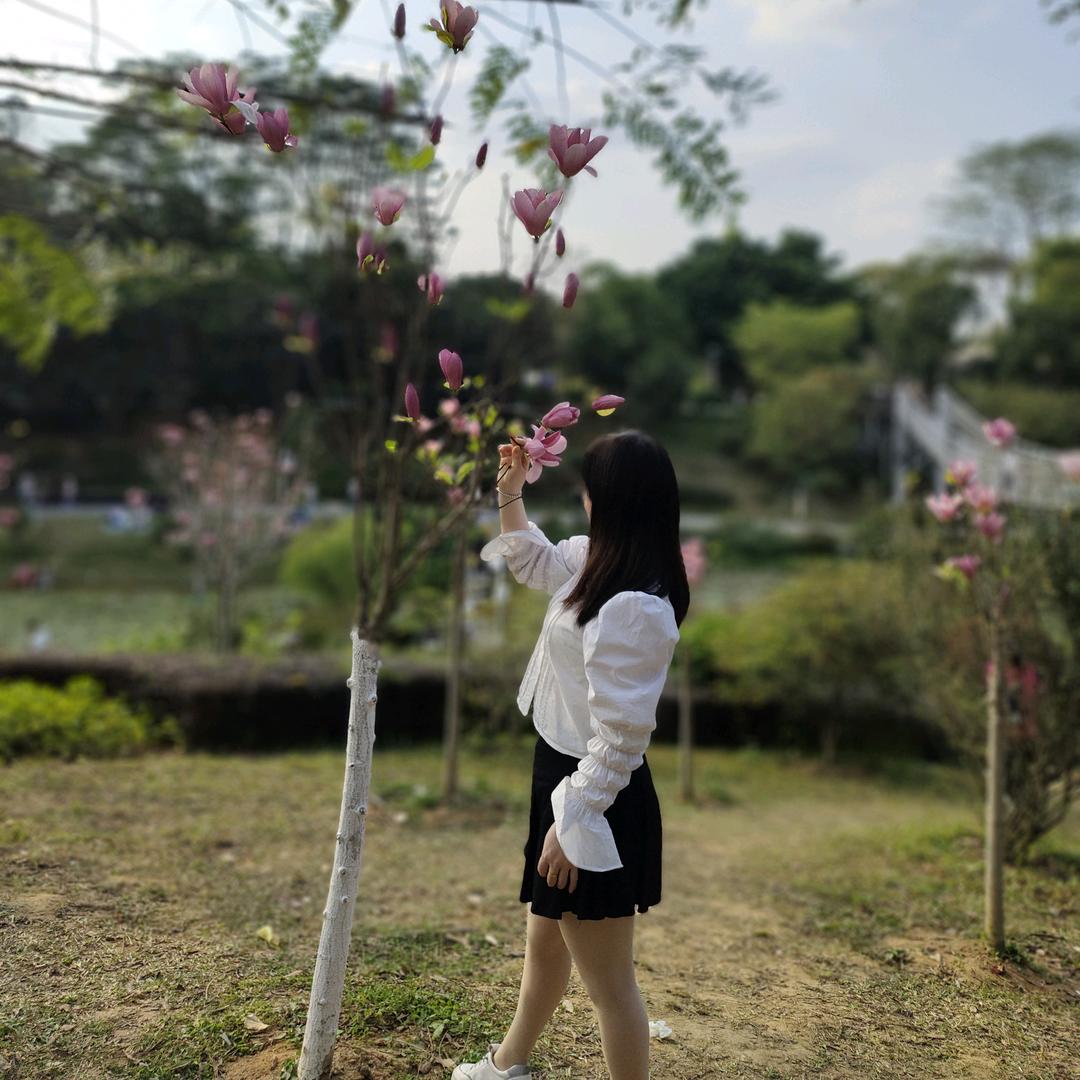 戴月