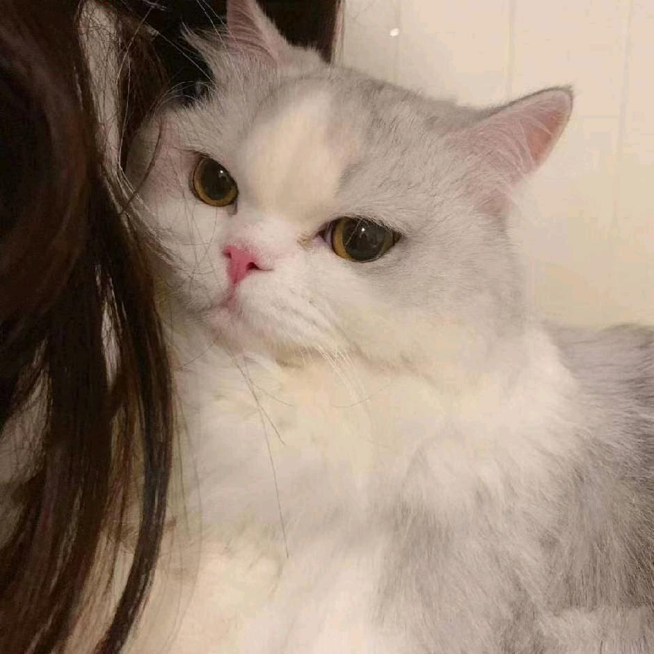 one安.