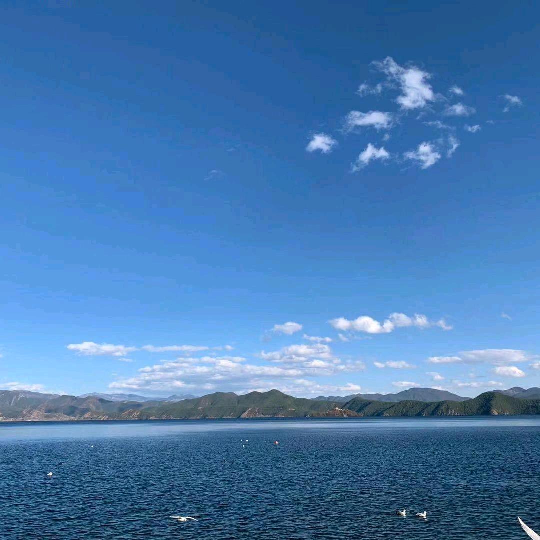 闫大宝