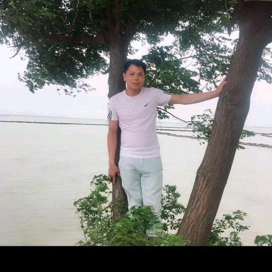 龙腾四海