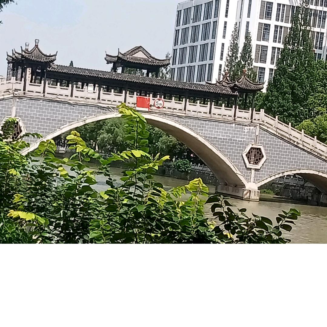 夕阳红