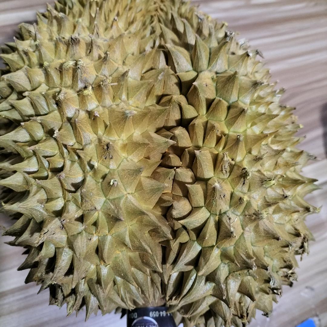 依朵干果水果