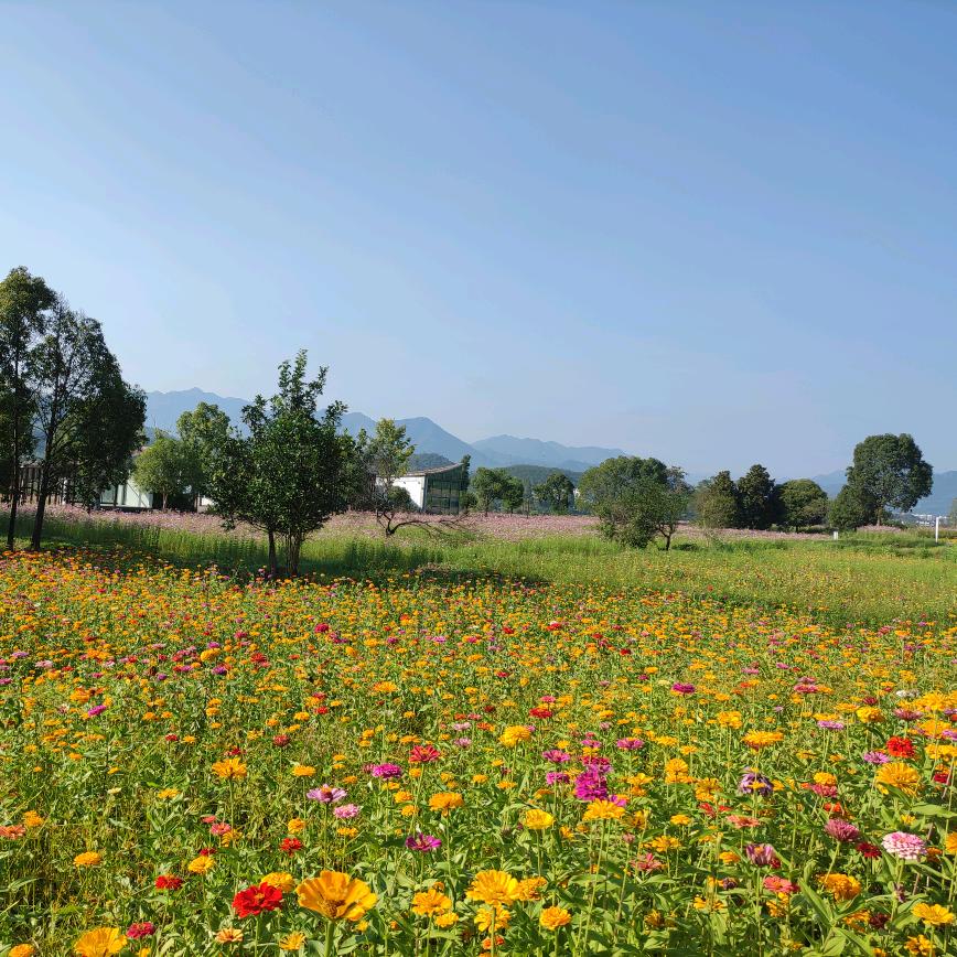 新乐源果蔬采摘