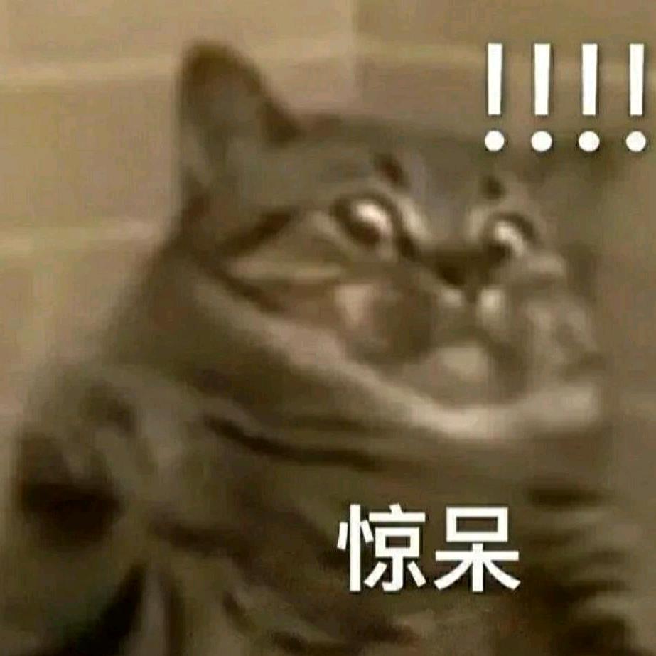 雪风号要保护所有人