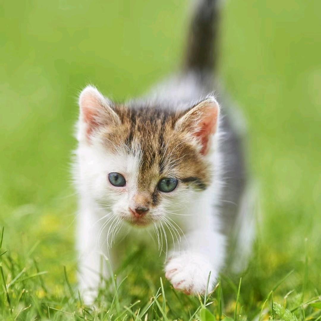 野钓小生（阿军）