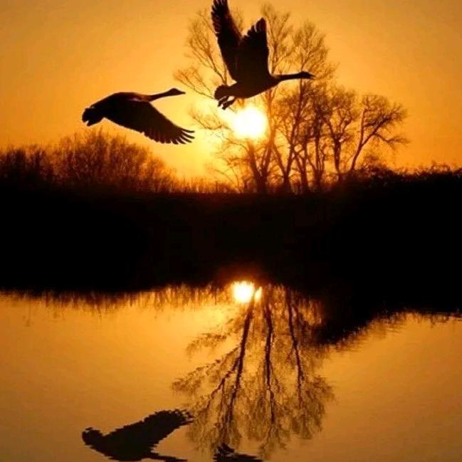 微风细雨轻拂面