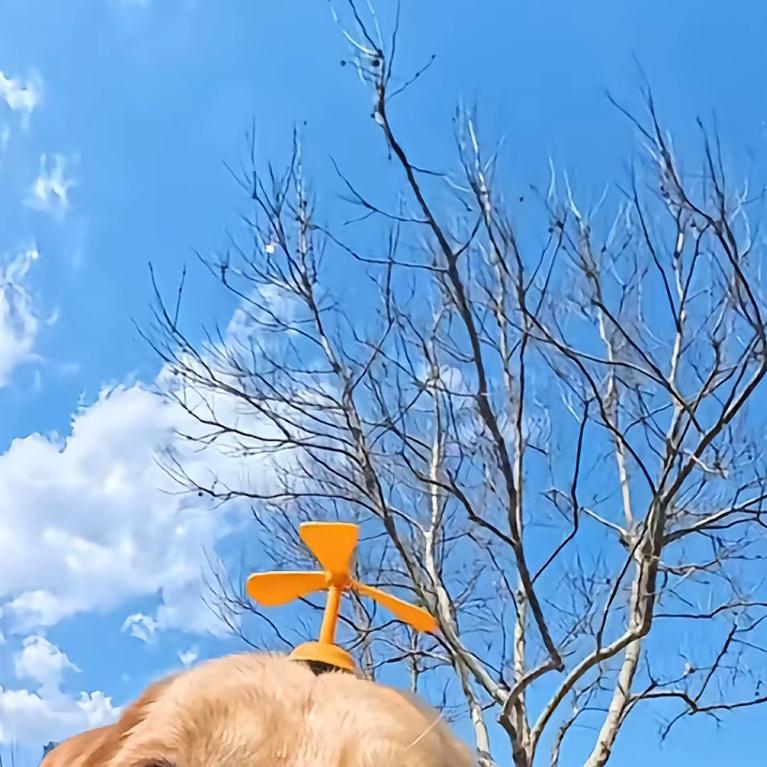 咔咔