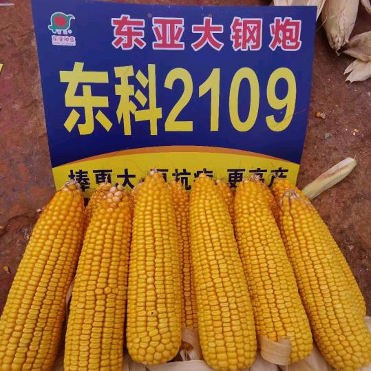 陈庄渭北农博城鹏兴农资店