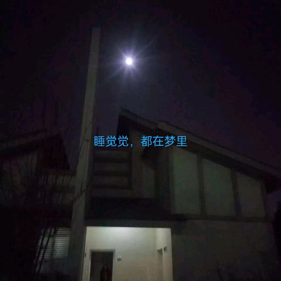梦里啥都有