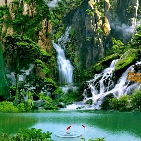 SMC好人一生平安