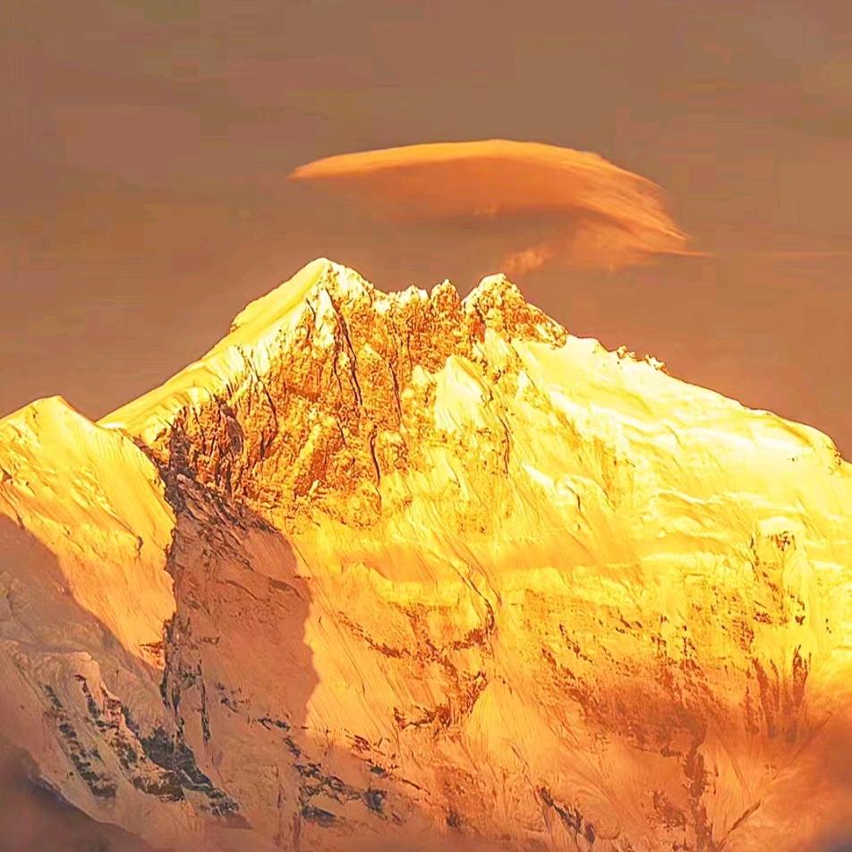 陪你路过这个世界