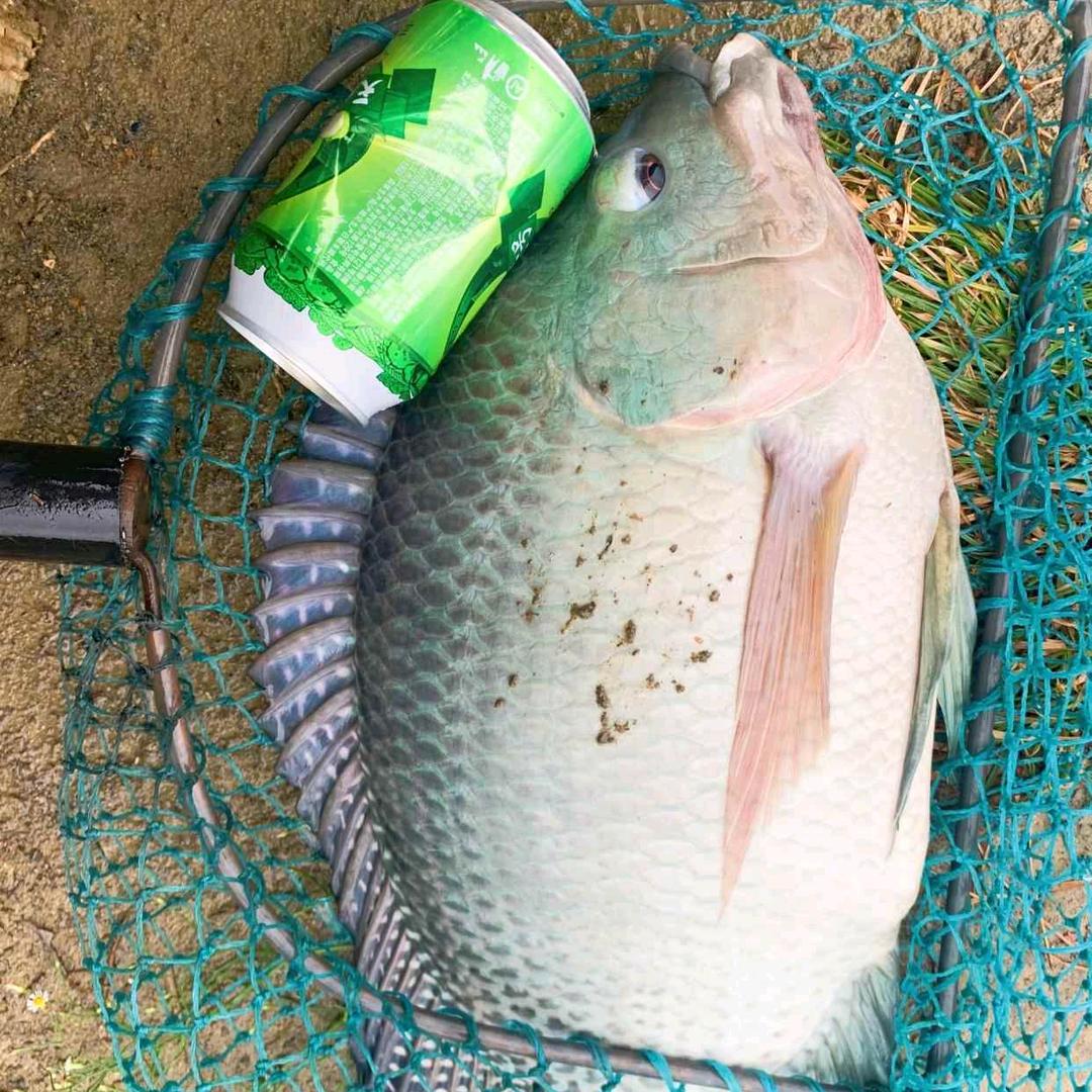 游钓海南张大叔
