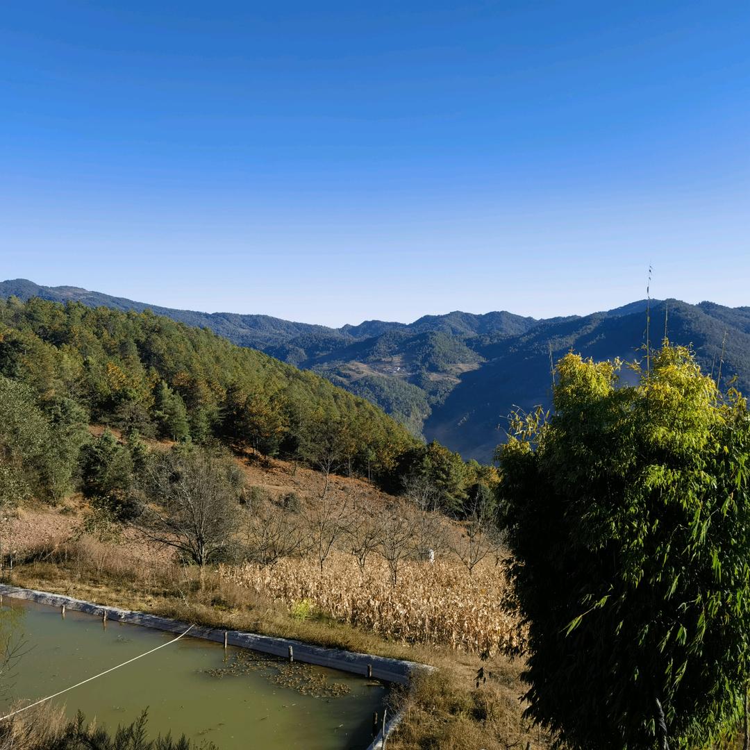 云南阿忠土货