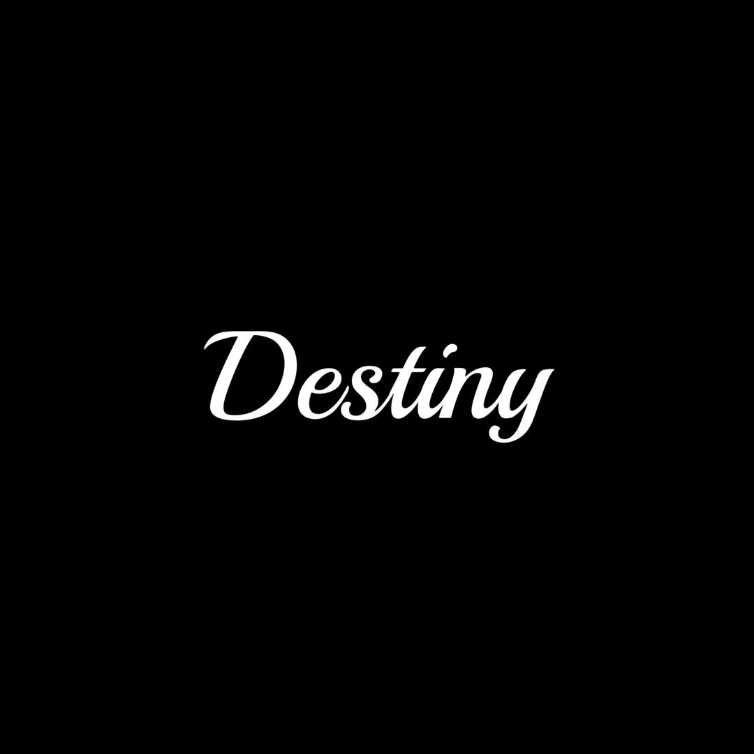 Destiny精致包包