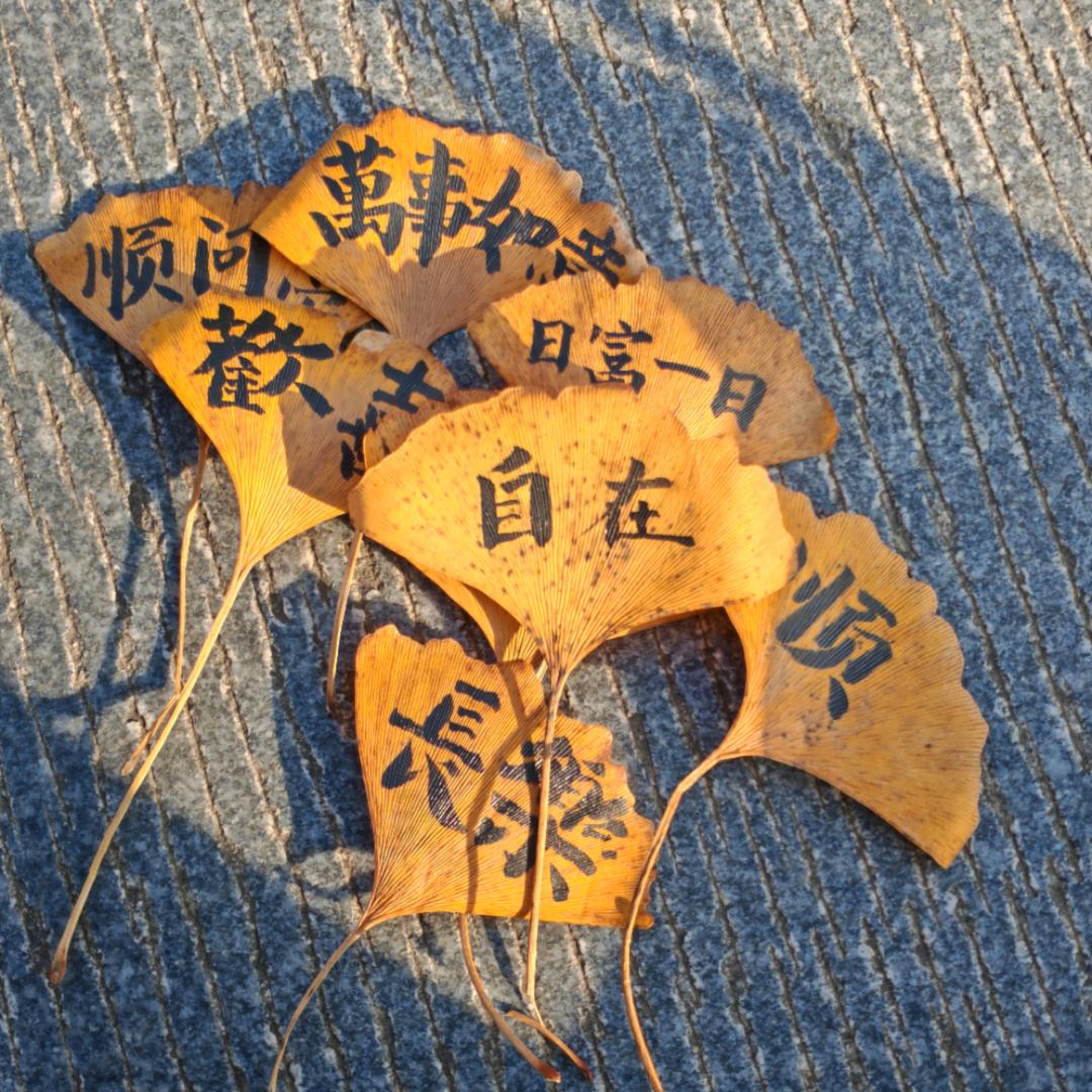 隨心所欲