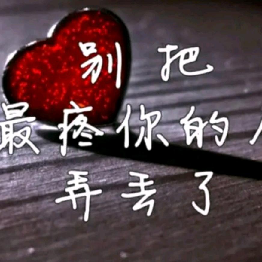 社会你亮哥