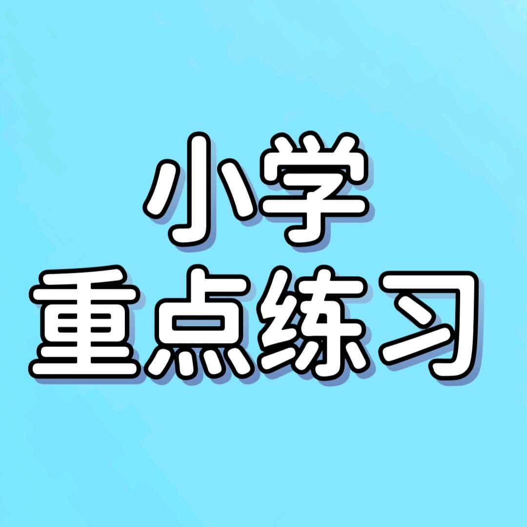 小学重点练习