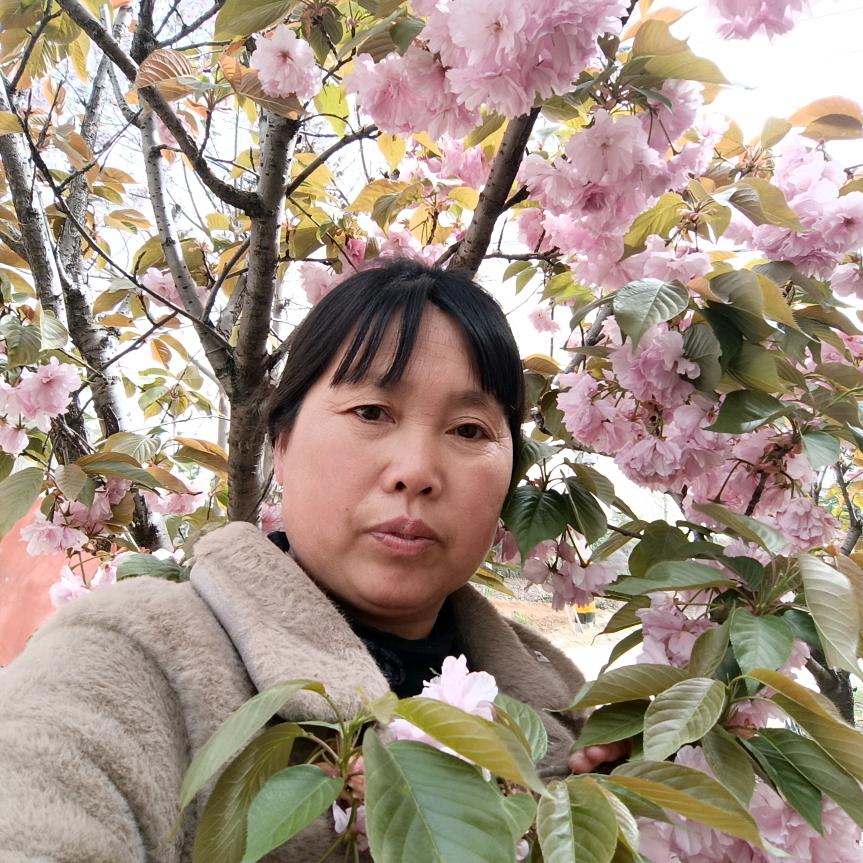 一帆风顺`