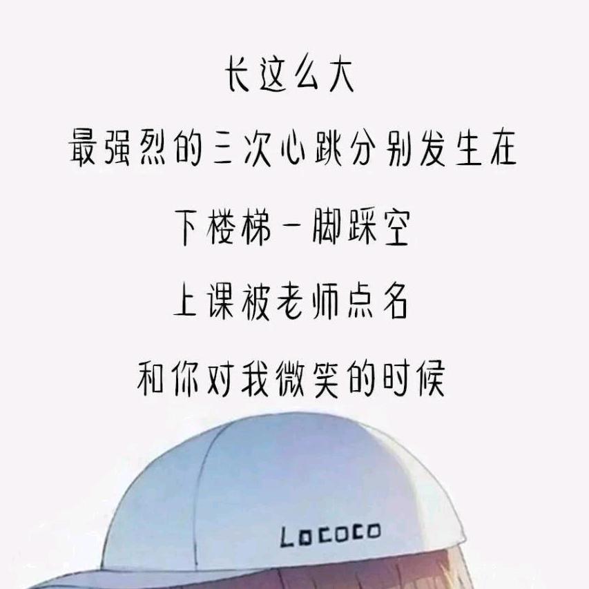 终点ZM