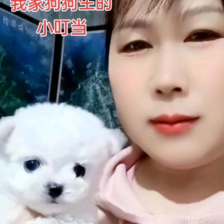 聪聪姐