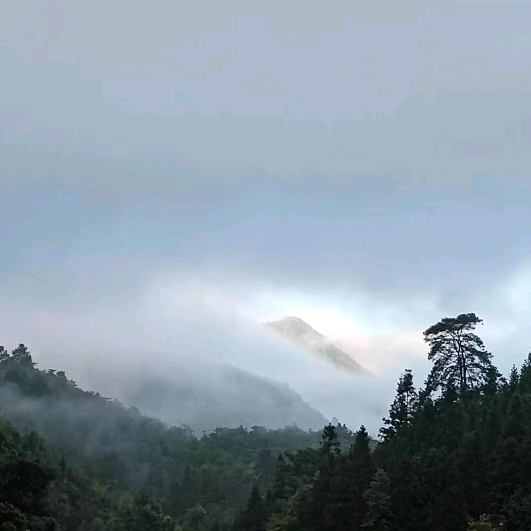 远在◣咫尺