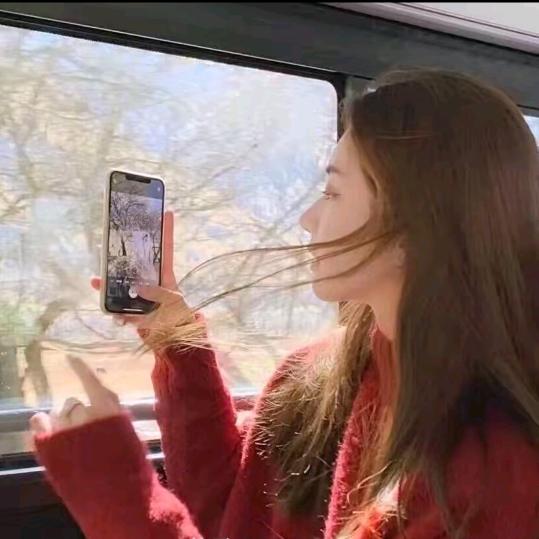 怪兽bb
